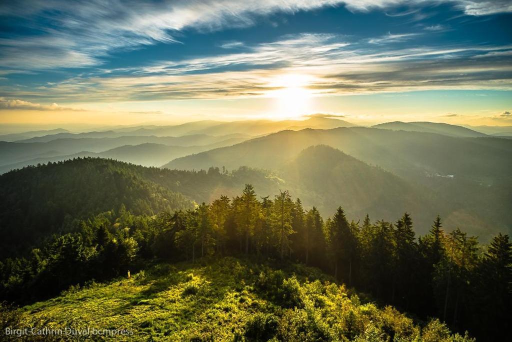 Schwarzwald-Traum Mit Pool Und Sauna Unterkirnach エクステリア 写真