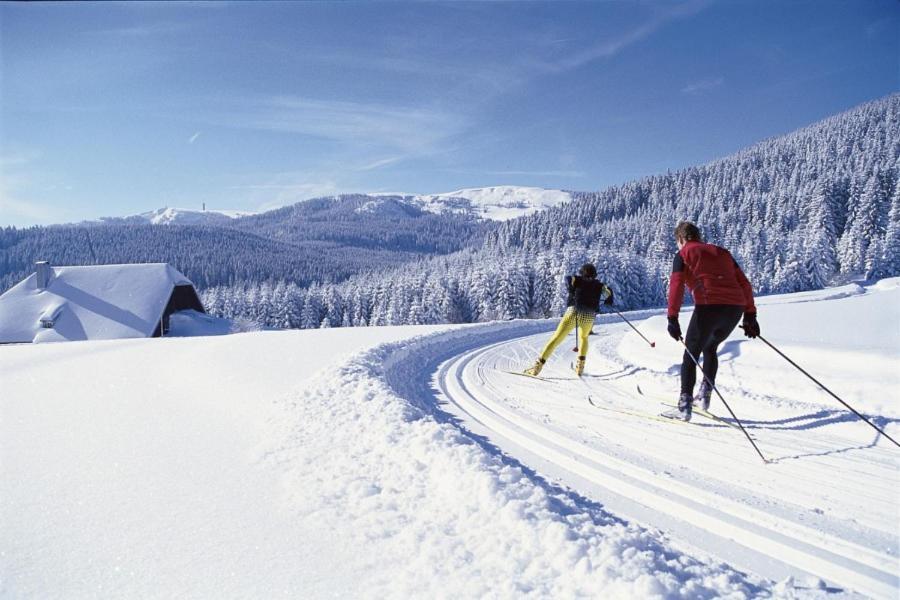 Schwarzwald-Traum Mit Pool Und Sauna Unterkirnach エクステリア 写真