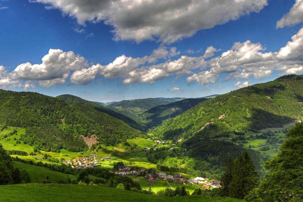 Schwarzwald-Traum Mit Pool Und Sauna Unterkirnach エクステリア 写真